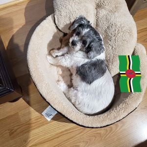 Meet your Posher, Sandra